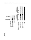 Treatment and prevention of diffuse parenchymal lung disease by selective     active-site mTOR inhibitors diagram and image