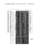 METHODS OF PROGNOSTICATING AND TREATING EWING SARCOMA/PNET AND OTHER     NEOPLASMS diagram and image