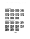 POLYMER COMPOSITES INCORPORATING STEREOCOMPLEXATION diagram and image