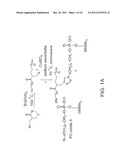 POLYESTERS WITH GRAFTED ZWITTERIONS diagram and image