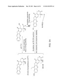 POLYESTERS WITH GRAFTED ZWITTERIONS diagram and image