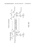 POLYESTERS WITH GRAFTED ZWITTERIONS diagram and image