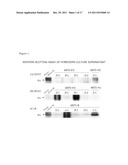 Human Anti-Human Influenza Virus Antibody diagram and image