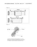 Human Anti-Human Influenza Virus Antibody diagram and image