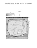 SYSTEM FOR NON-INVASIVE DETERMINATION OF GLYCOGEN STORES diagram and image