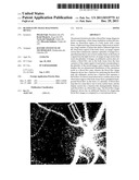 BLOOD FLOW IMAGE DIAGNOSING DEVICE diagram and image