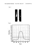 BLOOD FLOW IMAGE DIAGNOSING DEVICE diagram and image