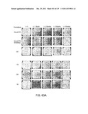 COMBINATION THERAPY WITH CRYOSURGERY AND LOW DOSAGE STRENGTH IMIQUIMOD TO     TREAT ACTINIC KERATOSIS diagram and image