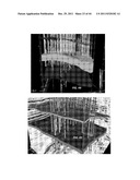 METHOD AND SYSTEM FOR DYNAMIC, THREE-DIMENSIONAL GEOLOGICAL INTERPRETATION     AND MODELING diagram and image