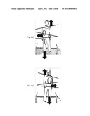 BODY CONDITION EVALUATION APPARATUS, CONDITION ESTIMATION APPARATUS,     STRIDE ESTIMATION APPARATUS, AND HEALTH MANAGEMENT SYSTEM diagram and image