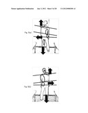 BODY CONDITION EVALUATION APPARATUS, CONDITION ESTIMATION APPARATUS,     STRIDE ESTIMATION APPARATUS, AND HEALTH MANAGEMENT SYSTEM diagram and image