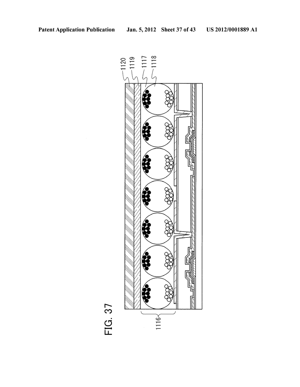 ELECTRIC FIELD DRIVING DISPLAY DEVICE - diagram, schematic, and image 38