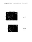 Advanced Digital Pathology and Provisions for Remote Diagnostics diagram and image