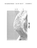 CLEANING BRUSH FOR ELECTROSTATOGRAPHIC APPARATUS diagram and image