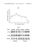 VALPROIC ACID, DERIVATIVES, ANALOGUES, AND COMPOSITIONS INCLUDING SAME AND     METHODS FOR THEIR THERAPEUTIC USE diagram and image