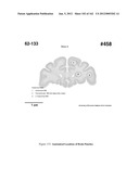 CNS DELIVERY OF THERAPEUTIC AGENTS diagram and image