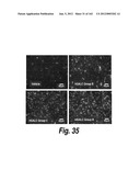 CNS DELIVERY OF THERAPEUTIC AGENTS diagram and image