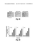 CNS DELIVERY OF THERAPEUTIC AGENTS diagram and image