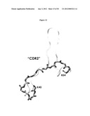 Binding Moieties Based On Shark IgNAR Domains diagram and image