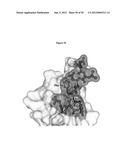 Binding Moieties Based On Shark IgNAR Domains diagram and image