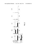 ANGIOGENIC AND IMMUNOLOGIC APPLICATIONS OF ANTI-CD160 SPECIFIC COMPOUNDS     OBTAINABLE FROM mAb CL1-R2 diagram and image