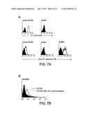 ANGIOGENIC AND IMMUNOLOGIC APPLICATIONS OF ANTI-CD160 SPECIFIC COMPOUNDS     OBTAINABLE FROM mAb CL1-R2 diagram and image