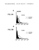 ANGIOGENIC AND IMMUNOLOGIC APPLICATIONS OF ANTI-CD160 SPECIFIC COMPOUNDS     OBTAINABLE FROM mAb CL1-R2 diagram and image