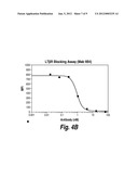 ANTI-LYMPHOTOXIN ANTIBODIES diagram and image