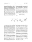 MONOMETHYLVALINE COMPOUNDS CAPABLE OF CONJUGATION TO LIGANDS diagram and image