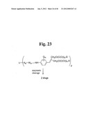 MONOMETHYLVALINE COMPOUNDS CAPABLE OF CONJUGATION TO LIGANDS diagram and image