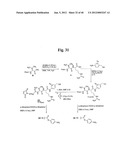 MONOMETHYLVALINE COMPOUNDS CAPABLE OF CONJUGATION TO LIGANDS diagram and image