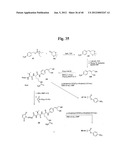 MONOMETHYLVALINE COMPOUNDS CAPABLE OF CONJUGATION TO LIGANDS diagram and image