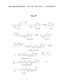 MONOMETHYLVALINE COMPOUNDS CAPABLE OF CONJUGATION TO LIGANDS diagram and image