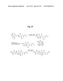 MONOMETHYLVALINE COMPOUNDS CAPABLE OF CONJUGATION TO LIGANDS diagram and image