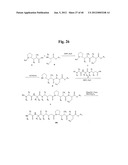 MONOMETHYLVALINE COMPOUNDS CAPABLE OF CONJUGATION TO LIGANDS diagram and image