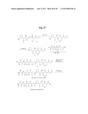 MONOMETHYLVALINE COMPOUNDS CAPABLE OF CONJUGATION TO LIGANDS diagram and image