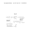 MONOMETHYLVALINE COMPOUNDS CAPABLE OF CONJUGATION TO LIGANDS diagram and image