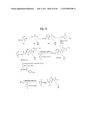 MONOMETHYLVALINE COMPOUNDS CAPABLE OF CONJUGATION TO LIGANDS diagram and image