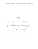 MONOMETHYLVALINE COMPOUNDS CAPABLE OF CONJUGATION TO LIGANDS diagram and image