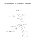 MONOMETHYLVALINE COMPOUNDS CAPABLE OF CONJUGATION TO LIGANDS diagram and image