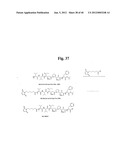 MONOMETHYLVALINE COMPOUNDS CAPABLE OF CONJUGATION TO LIGANDS diagram and image