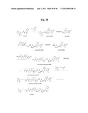 MONOMETHYLVALINE COMPOUNDS CAPABLE OF CONJUGATION TO LIGANDS diagram and image