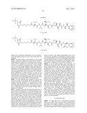 MONOMETHYLVALINE COMPOUNDS CAPABLE OF CONJUGATION TO LIGANDS diagram and image