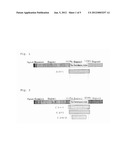 RECOMBINANT AVIAN INFECTIOUS CORYZA VACCINE AND PROCESS FOR PREPARING SAME diagram and image