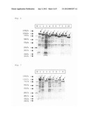 RECOMBINANT AVIAN INFECTIOUS CORYZA VACCINE AND PROCESS FOR PREPARING SAME diagram and image