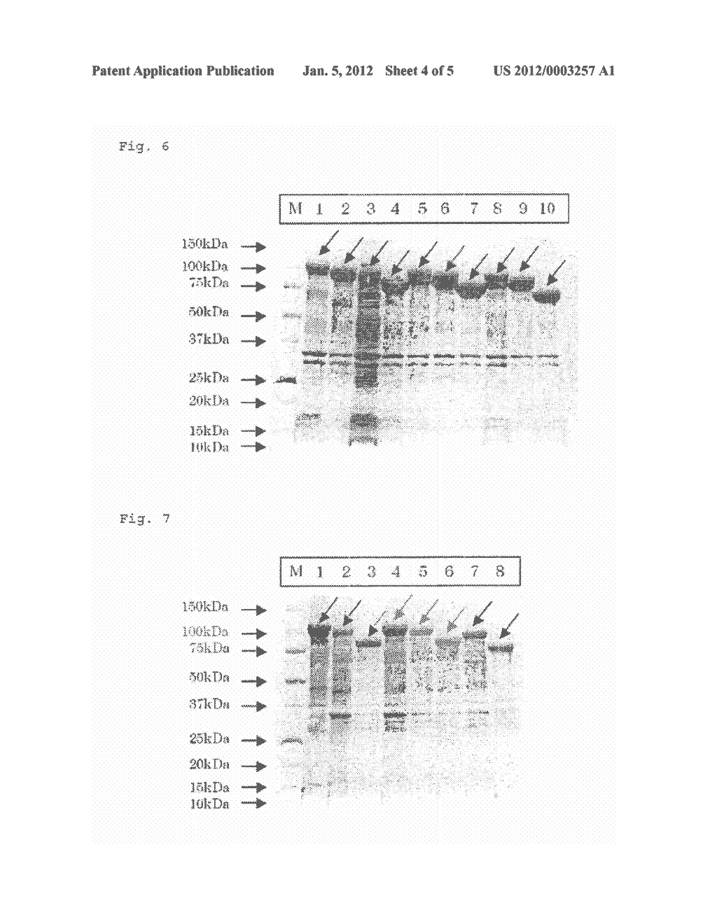 RECOMBINANT AVIAN INFECTIOUS CORYZA VACCINE AND PROCESS FOR PREPARING SAME - diagram, schematic, and image 05