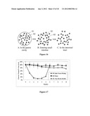 Pharmaceutical composition of nanoparticles for protein drug delivery diagram and image
