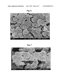 PROTECTED METAL ANODE ARCHITECTURE AND METHOD OF FORMING THE SAME diagram and image