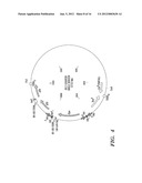 MODULAR NUCLEIC ACID-BASED CIRCUITS FOR COUNTERS, BINARY OPERATIONS,     MEMORY, AND LOGIC diagram and image