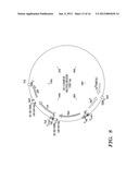 MODULAR NUCLEIC ACID-BASED CIRCUITS FOR COUNTERS, BINARY OPERATIONS,     MEMORY, AND LOGIC diagram and image